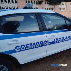 Cosmopol intrusione ripresa in diretta da sala operativa furto sventato in una villetta estiva