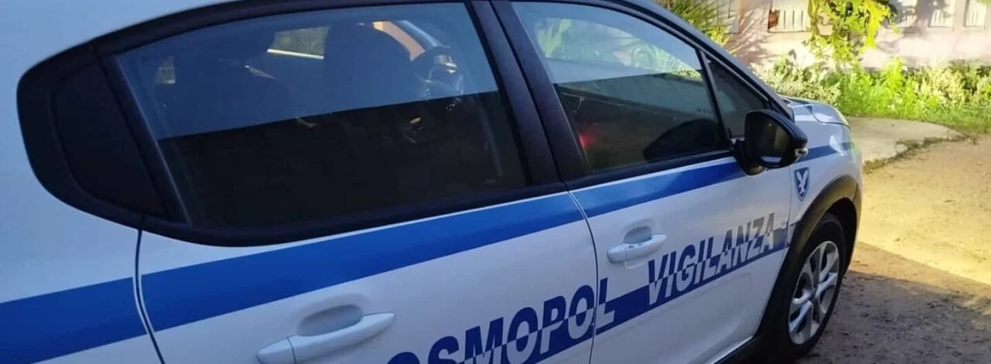 Tentano di forzare la porta di ingresso ma arrivano i vigilanti ladri in fuga